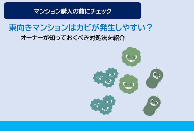 東向きマンションはカビが発生しやすい？実際のリスクとオーナーが知っておくべき対処法を紹介